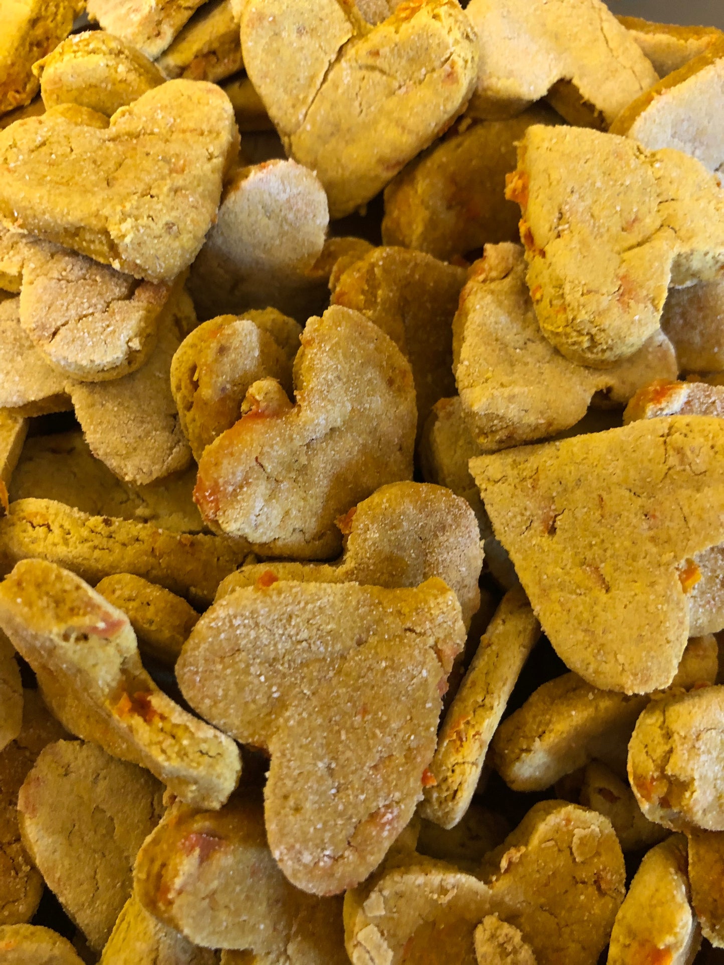 Holidog Winter Collection❄️ Carrot Cake Dog Treats